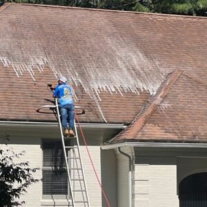 Roof Cleaning