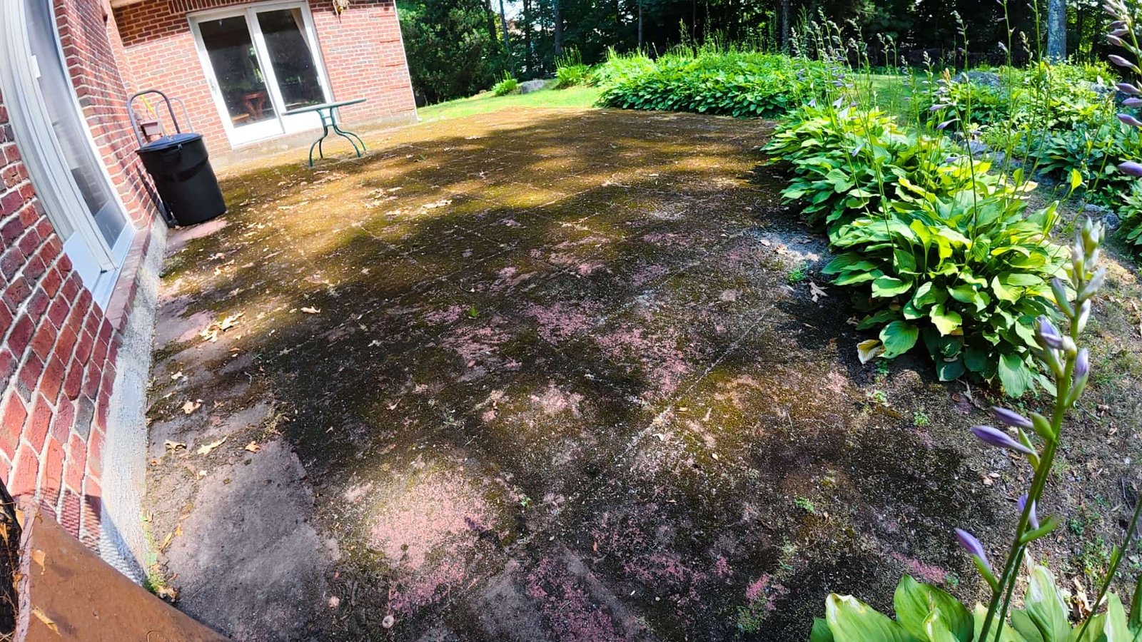 Pavers Patio Cleaning