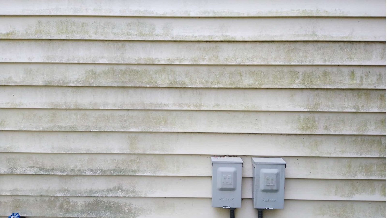 Siding Cleaning