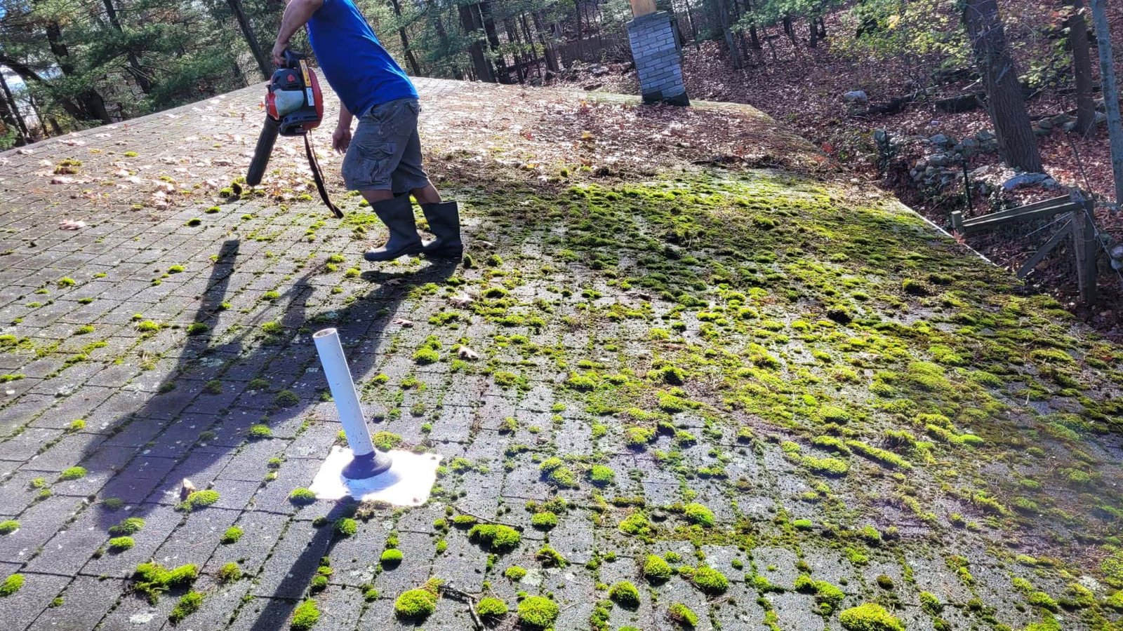 Roof Cleaning Saugus MA