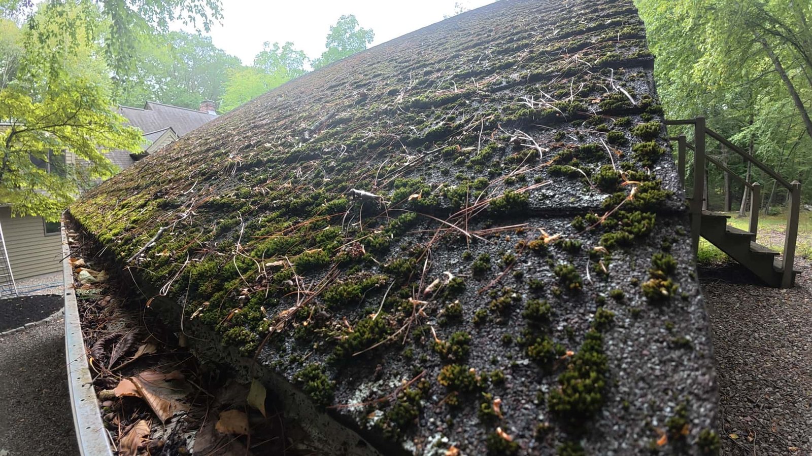 Roof Cleaning Littleton MA
