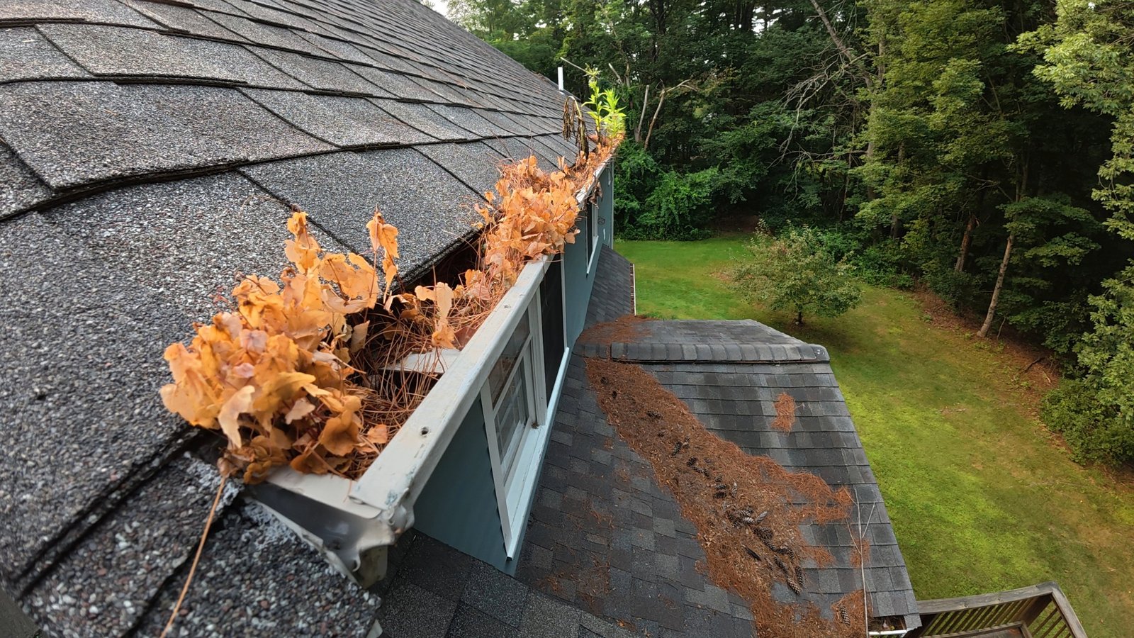 Gutters Cleaning